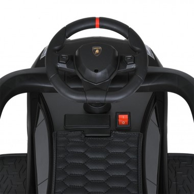 Детская Каталка-толокар Lamborghini M 5777EL-2 до 25 кг