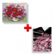 Набір картин за номерами 2 в 1