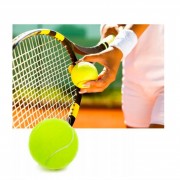 Набор мячей для большого тенниса SWDN Tennis Ball NE-TT-3, 3 штуки