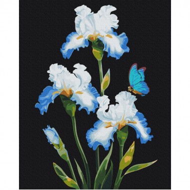 Картина по номерам Ирисы ©Anna Steshenko BS53915, 40x50 см