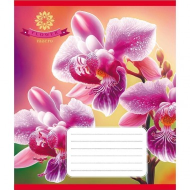 Тетрадь ученическая Тетрадь ученическая