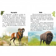 Читаю про Украину по слогам