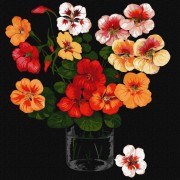 Набір картин за номерами 2 в 1 Ідейка