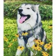 Алмазная мозаика