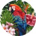 Картина по номерам Яркий попугай  KHO-R1004 диаметр 39 см Идейка