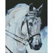 Алмазная мозаика Гордый конь Идейка AMO7394 40х50 см