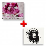 Набір картин за номерами 2 в 1