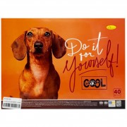 Альбом для рисования АП-0310-2, 40 листов, пружина сбоку