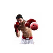 Тренажер для боксу