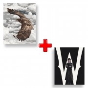 Набір картин за номерами 2 в 1