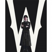 Набір картин за номерами 2 в 1