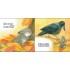 Книга для маленькой ладошки Зайчик Ranok Creative 543010 укр. Книга для маленькой ладошки Зайчик Ranok Creative 543010 укр.