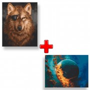 Набір картин за номерами 2 в 1