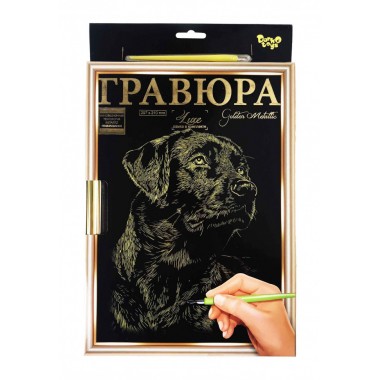 Гравюра Danko Toys А-4 LUXE с рамкой 2706DT