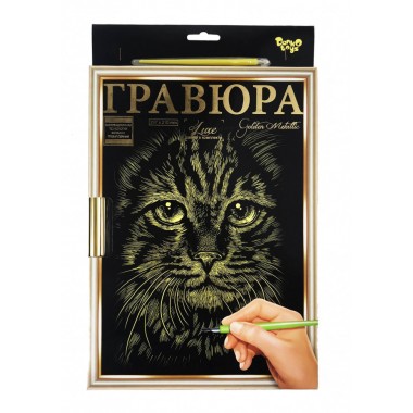 Гравюра Danko Toys А-4 LUXE с рамкой 2706DT