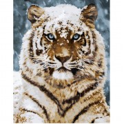 Картина по номерам Идейка Уссурийский тигр 40*50 см KHO4140