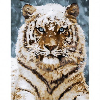 Картина по номерам Идейка Уссурийский тигр 40*50 см KHO4140