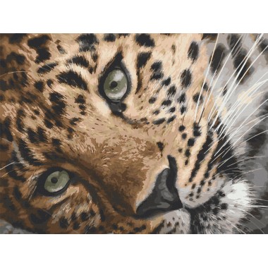 Картина за номерами. Art Craft "Леопард" 40х50 см 11635-AC