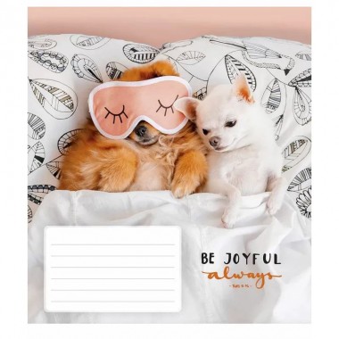 Зошит учнівський "Be joyful always" 012-3263K-3 в клітинку на 12 аркушів
