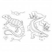 Большая книга раскрасок Животные 1736031, 64 страницы