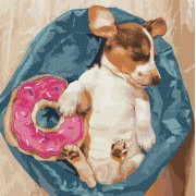 Набір картин за номерами 2 в 1 Ідейка