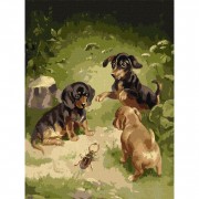 Набір картин за номерами 2 в 1