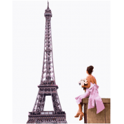 Картина по номерам Brushme Она в ожидании Парижа GX25457