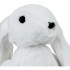 Плюшева іграшка Зайченя Сніжок FWPBUNNYSNOW22WT0, 12 см Плюшева іграшка Зайченя Сніжок FWPBUNNYSNOW22WT0, 12 см