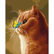 Набір картин за номерами 2 в 1 Ідейка