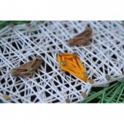 Набір стринг-арт