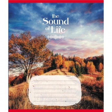 Тетрадь ученическая Тетрадь ученическая