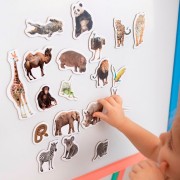 Набор магнитов