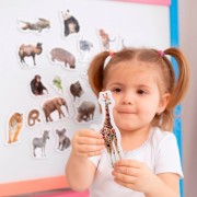 Набор магнитов