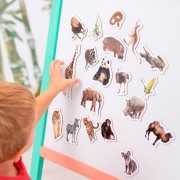 Набор магнитов