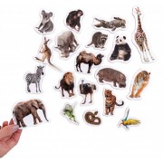 Набор магнитов