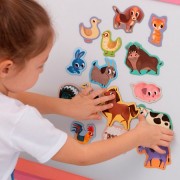 Набор магнитов Magdum