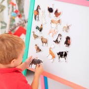 Набір магнітів Magdum