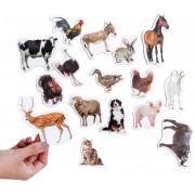 Набір магнітів Magdum