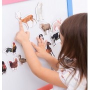 Набір магнітів Magdum