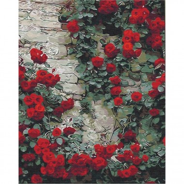 Картина по номерам Цветы у дома BS51406, 40x50 см