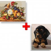 Набір картин за номерами 2 в 1 Ідейка