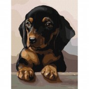 Набір картин за номерами 2 в 1 Ідейка