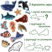 Набір магнітів Magdum