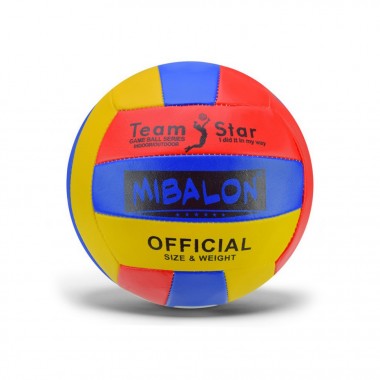 М'яч волейбольний 
