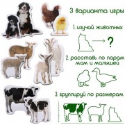 Набір магнітів Magdum