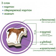 Набір магнітів Magdum