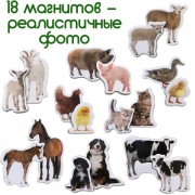 Набір магнітів Magdum