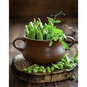 Алмазна мозаїка Зелений горошок