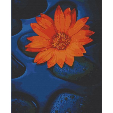 Картина по номерам. Art Craft Цветок лотоса 40х50 см 13124-AC