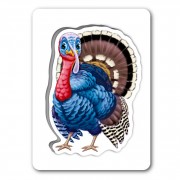 Дитяча розвиваюча гра